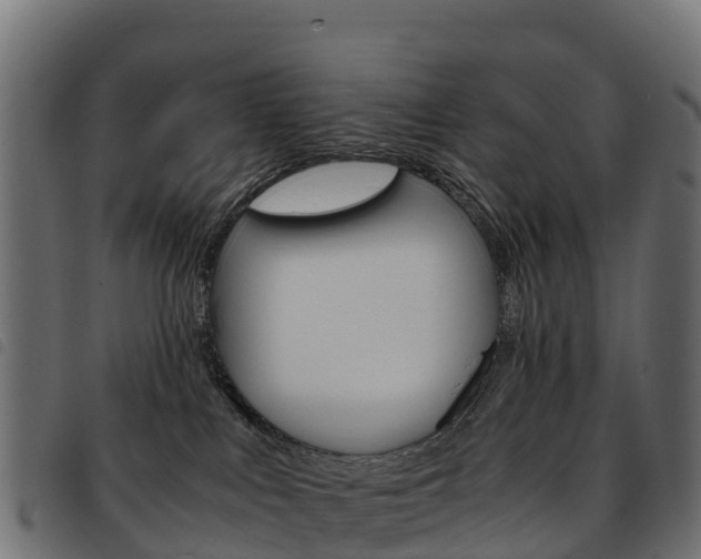 X0000093590043200710151026