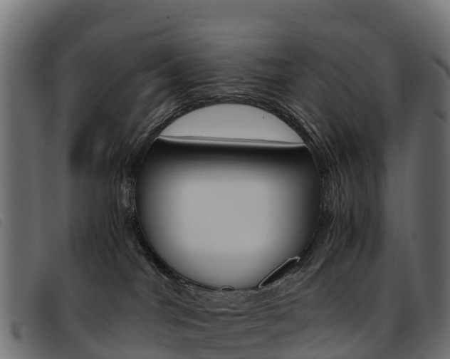 X0000093590044200710151026