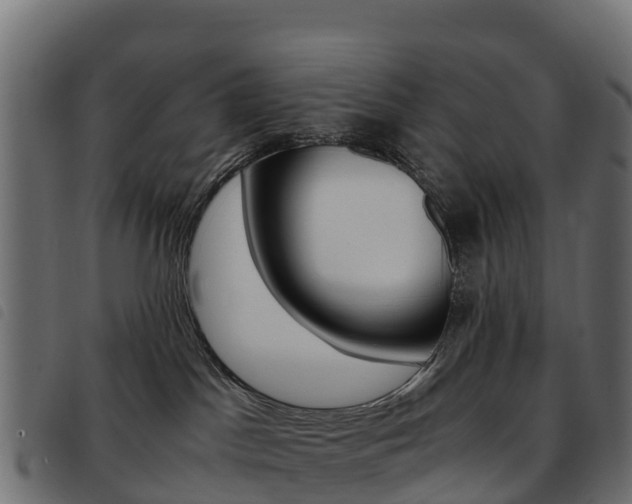 X0000093590045200710151026