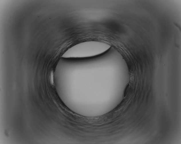 X0000093590046200710151026
