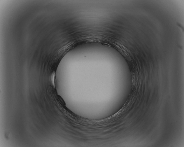 X0000093590047200710151026