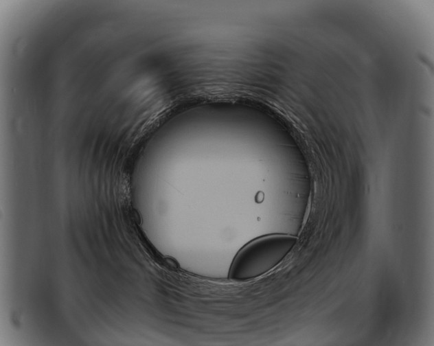 X0000093590048200710151026