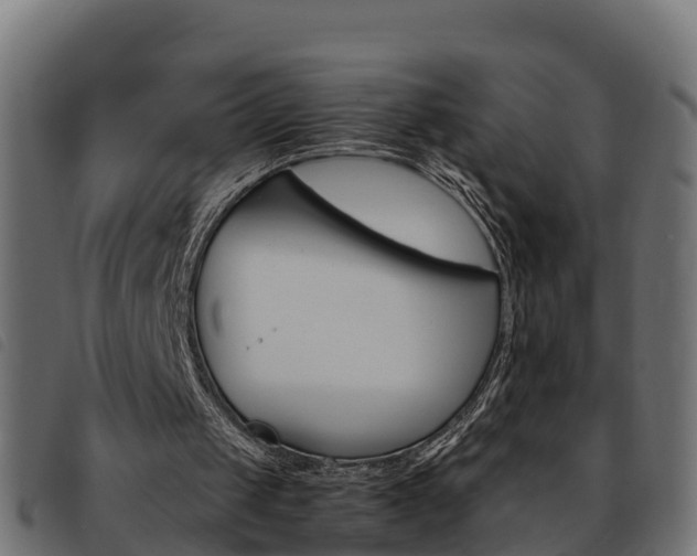 X0000093590049200710151025