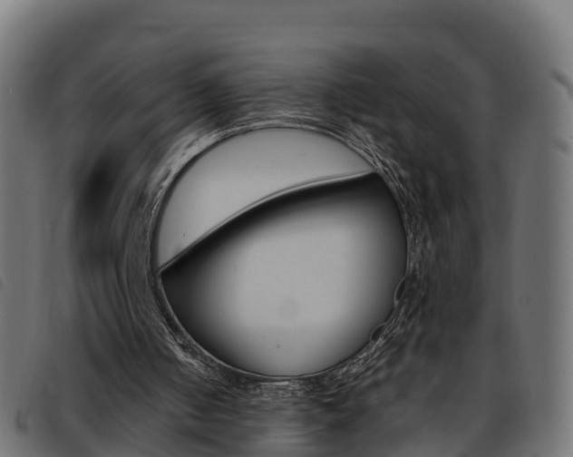 X0000093590050200710151025