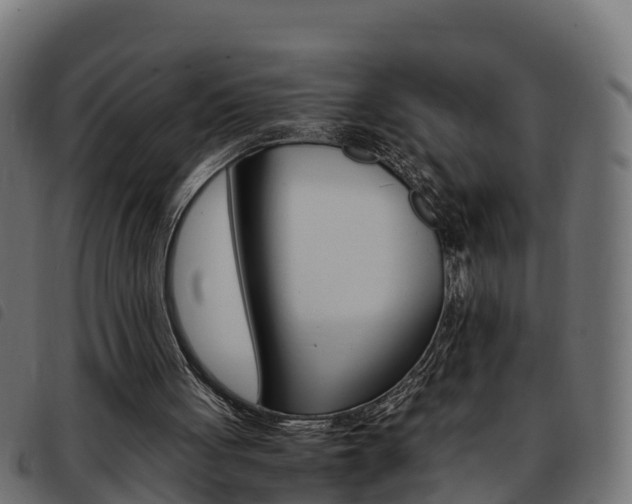 X0000093590051200710151025