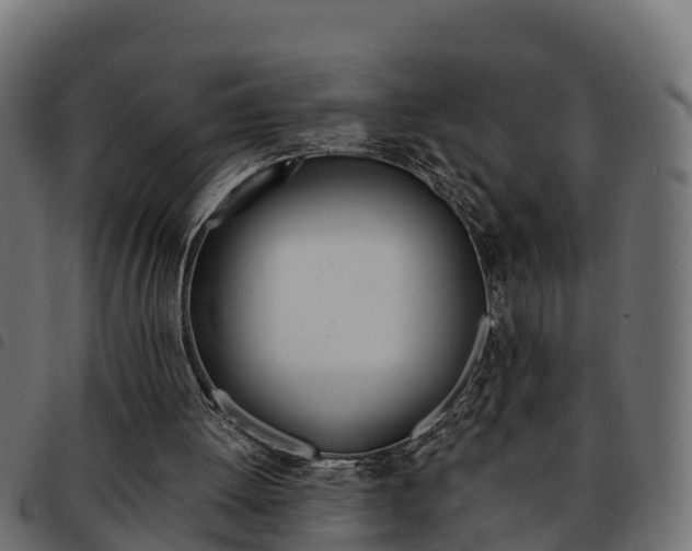 X0000093590052200710151025