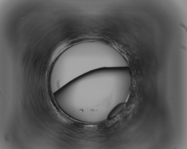 X0000093590053200710151025