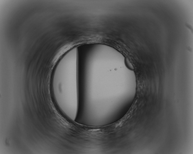 X0000093590054200710151025