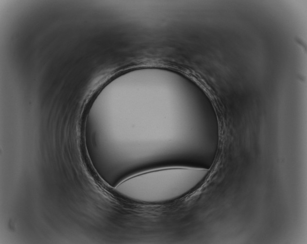 X0000093590055200710151025