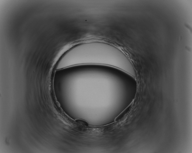 X0000093590056200710151025