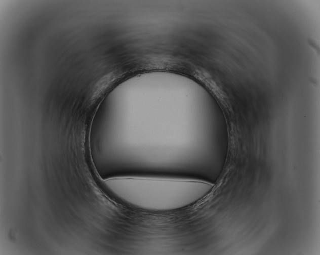 X0000093590058200710151025