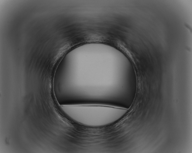X0000093590059200710151025