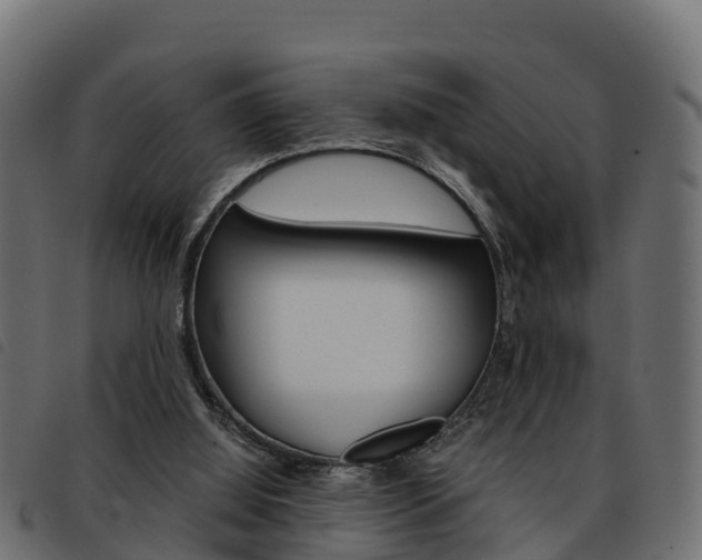 X0000093590060200710151025