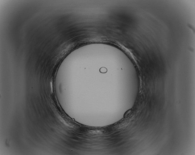 X0000093590061200710151025