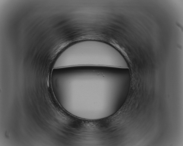 X0000093590062200710151025
