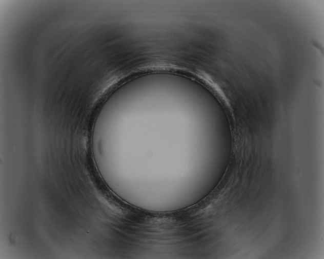 X0000093590063200710151025