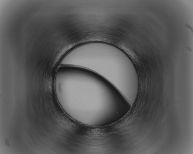 X0000093590064200710151025