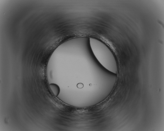X0000093590065200710151025