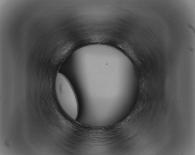 X0000093590066200710151025