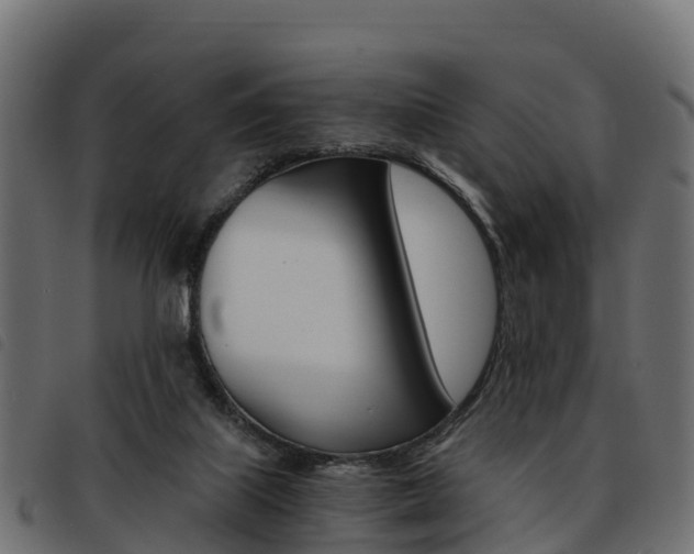 X0000093590067200710151025