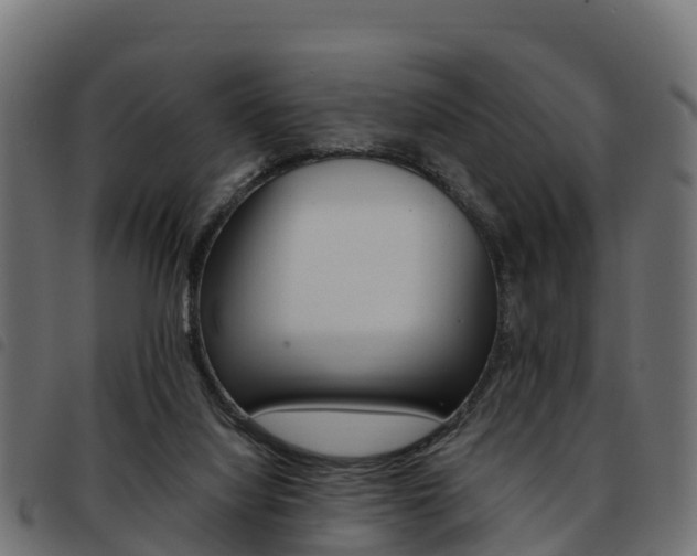 X0000093590068200710151025