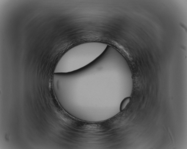 X0000093590069200710151025