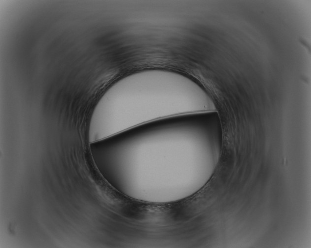 X0000093590070200710151025