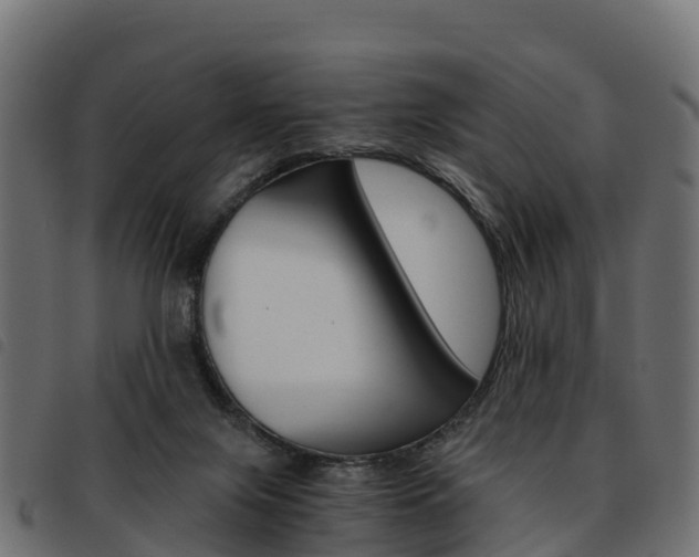 X0000093590071200710151025