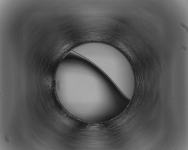 X0000093590072200710151025