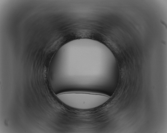 X0000093590073200710151025