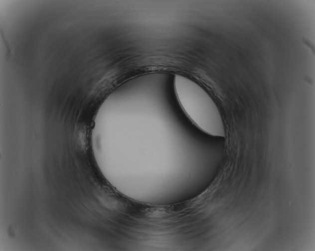 X0000093590074200710151025