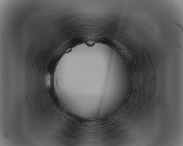 X0000093590075200710151025