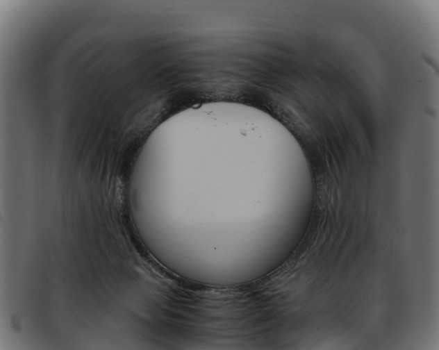 X0000093590077200710151026