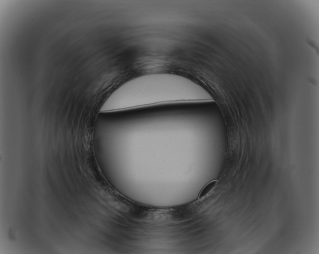 X0000093590078200710151026