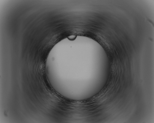 X0000093590079200710151026