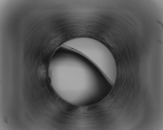 X0000093590080200710151026