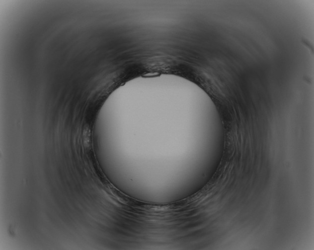 X0000093590081200710151026