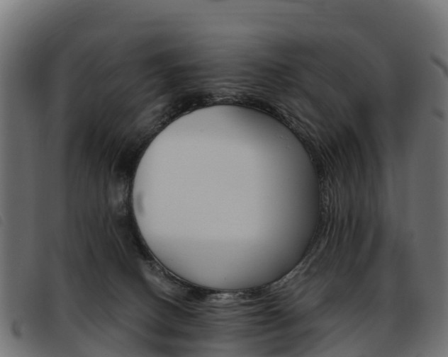 X0000093590082200710151026