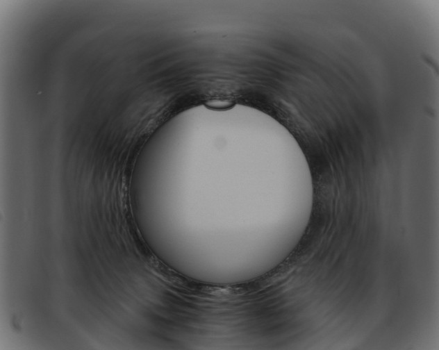 X0000093590083200710151026