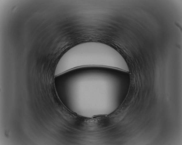 X0000093590084200710151026