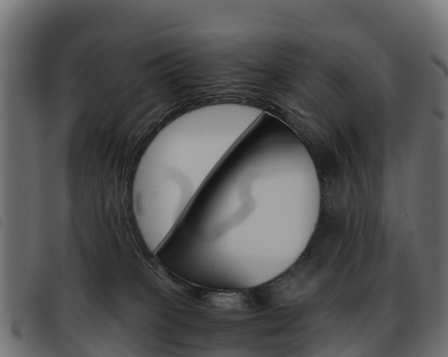 X0000093590085200710151026