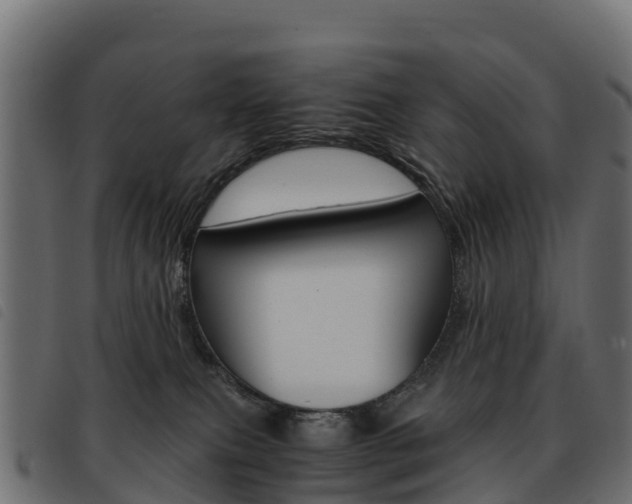 X0000093590087200710151026