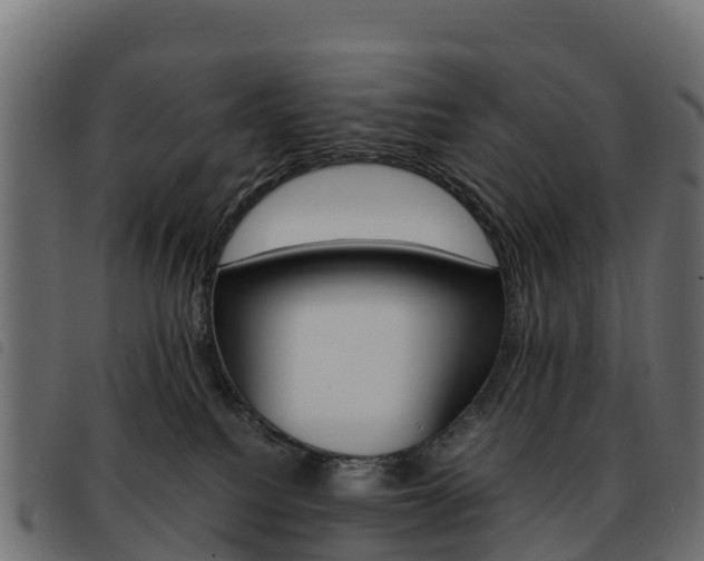 X0000093590088200710151026