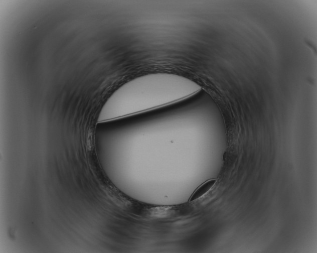 X0000093590090200710151026