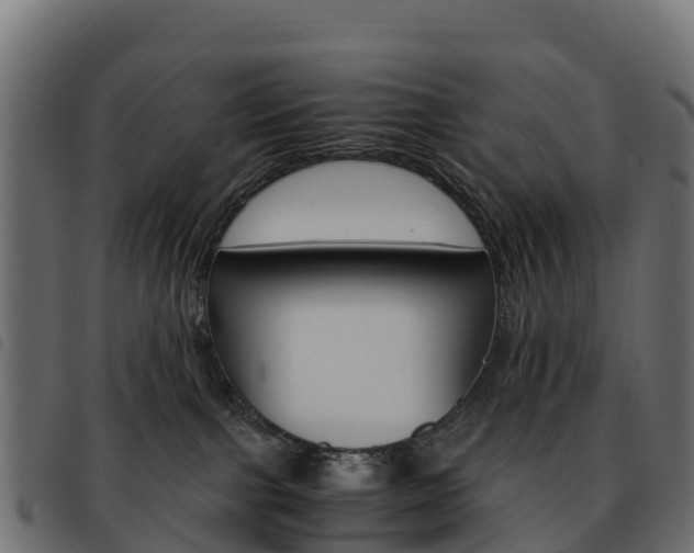 X0000093590091200710151026
