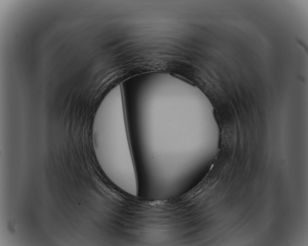 X0000093590092200710151026