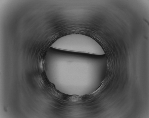 X0000093590094200710151026