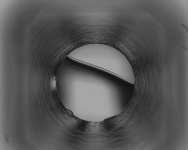 X0000093590095200710151026