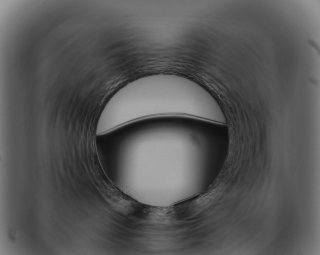 X0000093590096200710151026