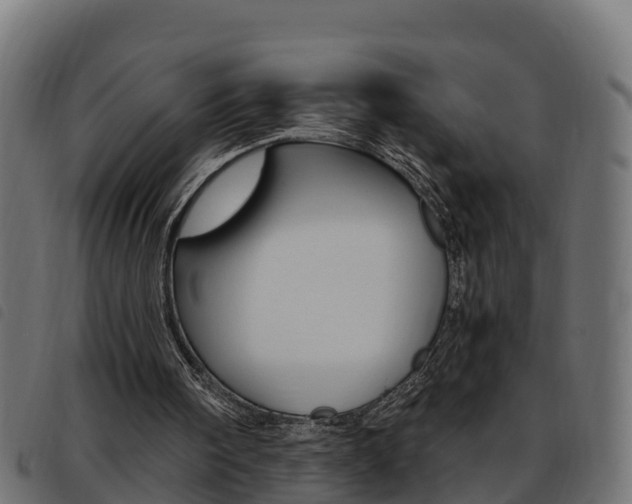 X0000093590098200710151025